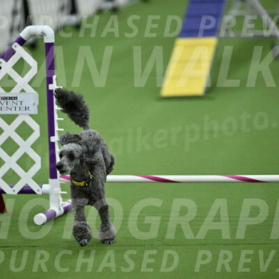 MAS-EX-STD-4-8-Inch_4677