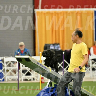 MAS-EX-STD-4-8-Inch_4682