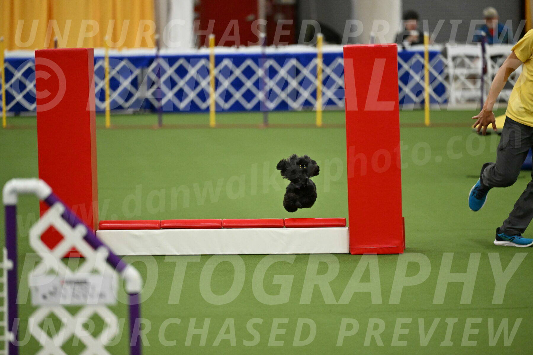 MAS-EX-STD-4-8-Inch_4690