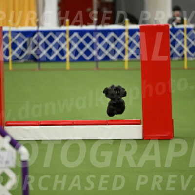 MAS-EX-STD-4-8-Inch_4690