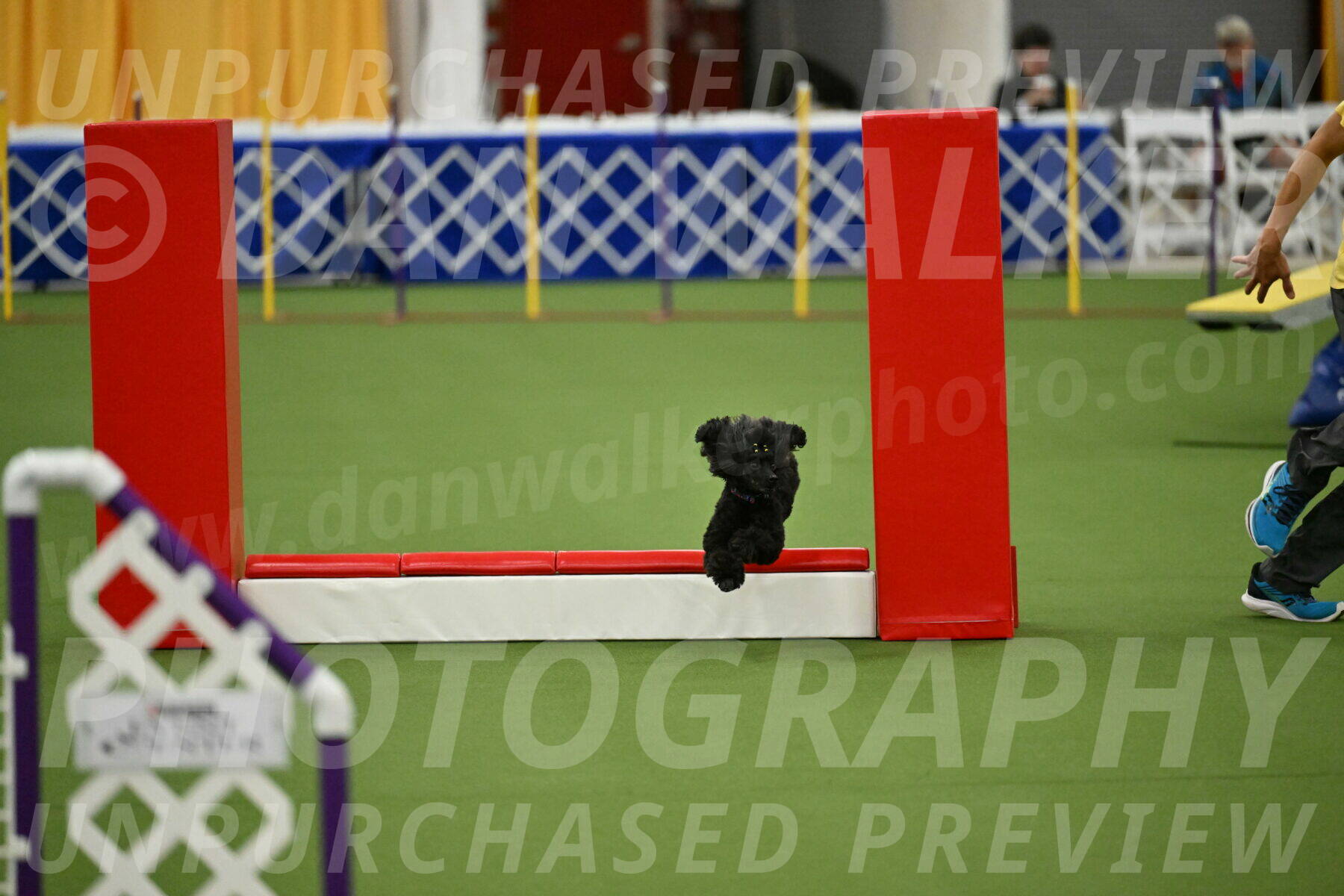 MAS-EX-STD-4-8-Inch_4691