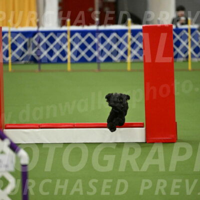 MAS-EX-STD-4-8-Inch_4691