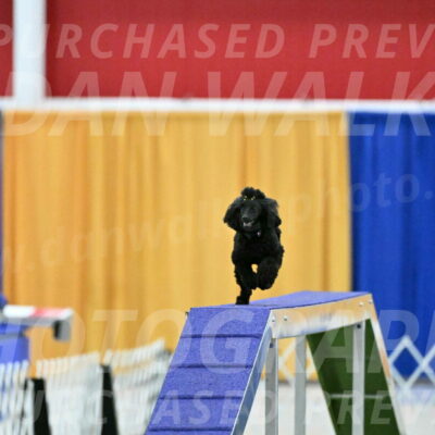 MAS-EX-STD-4-8-Inch_4694