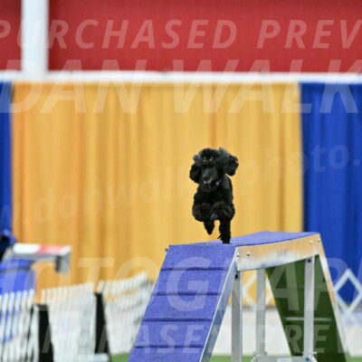 MAS-EX-STD-4-8-Inch_4695