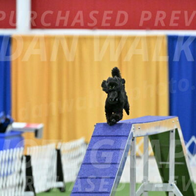 MAS-EX-STD-4-8-Inch_4696