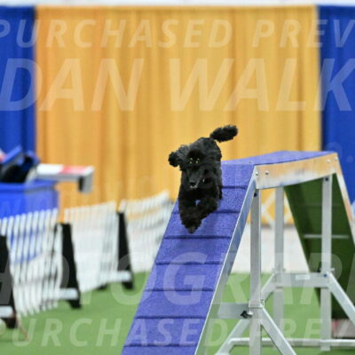 MAS-EX-STD-4-8-Inch_4698