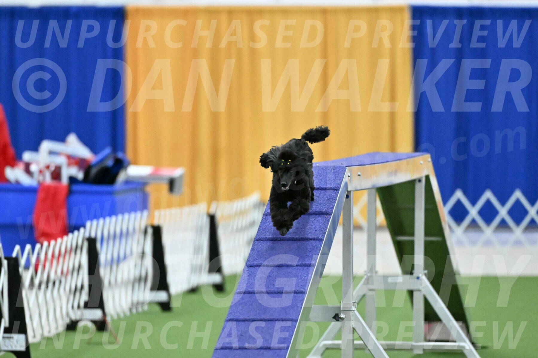 MAS-EX-STD-4-8-Inch_4698