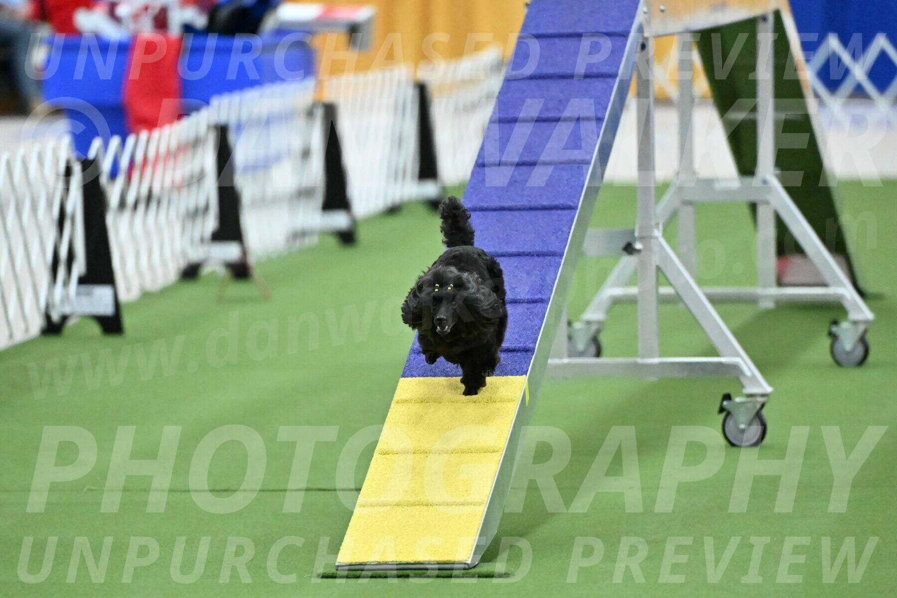 MAS-EX-STD-4-8-Inch_4701