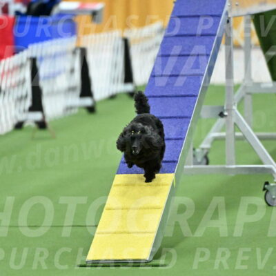 MAS-EX-STD-4-8-Inch_4701