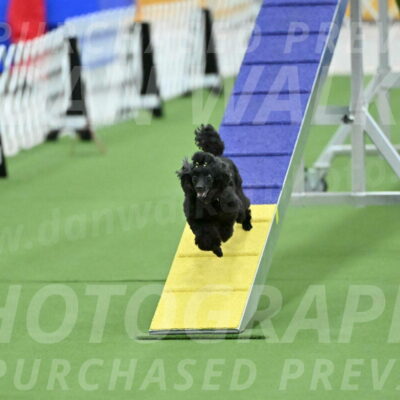 MAS-EX-STD-4-8-Inch_4702