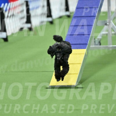 MAS-EX-STD-4-8-Inch_4703