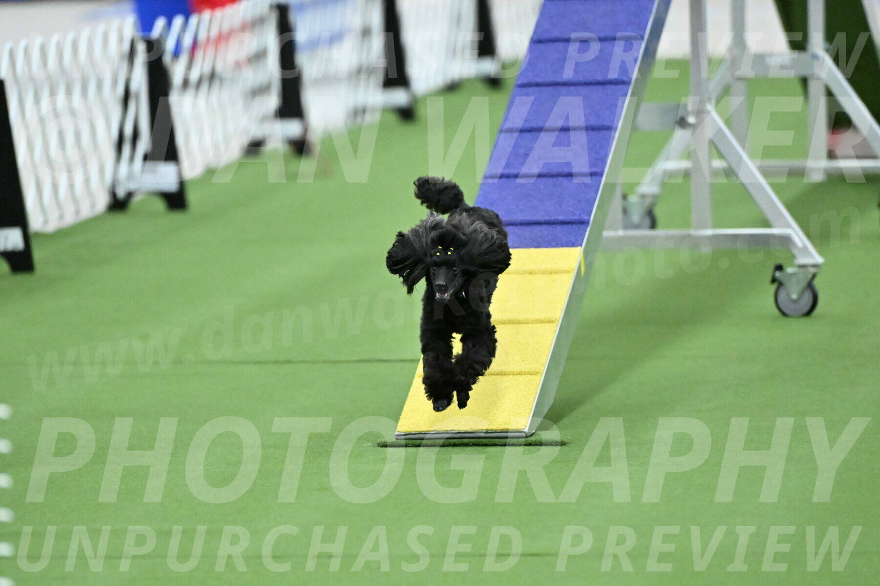 MAS-EX-STD-4-8-Inch_4703