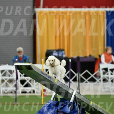 MAS-EX-STD-4-8-Inch_4721