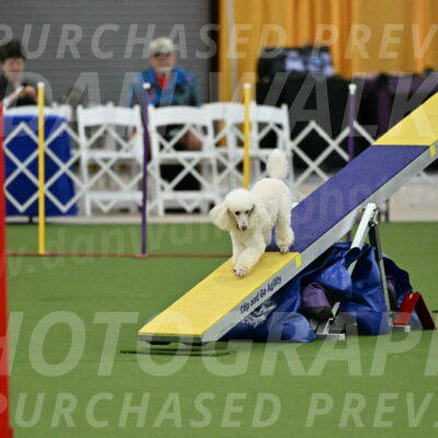 MAS-EX-STD-4-8-Inch_4724