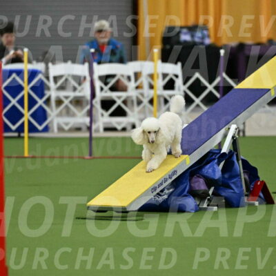 MAS-EX-STD-4-8-Inch_4725