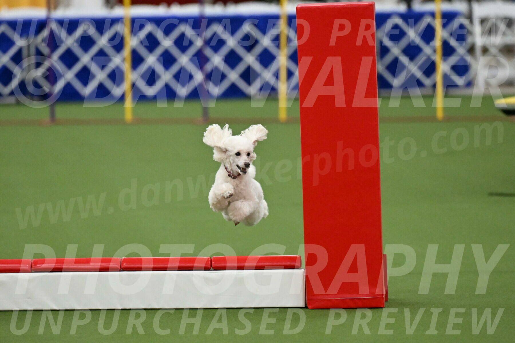 MAS-EX-STD-4-8-Inch_4732