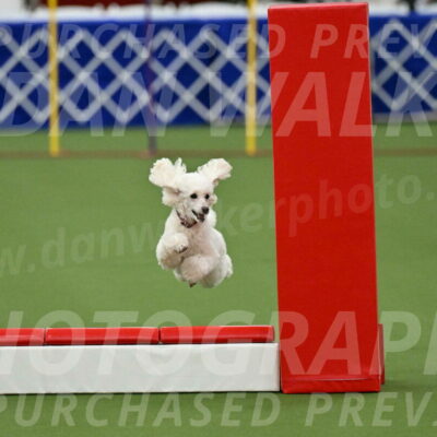 MAS-EX-STD-4-8-Inch_4732