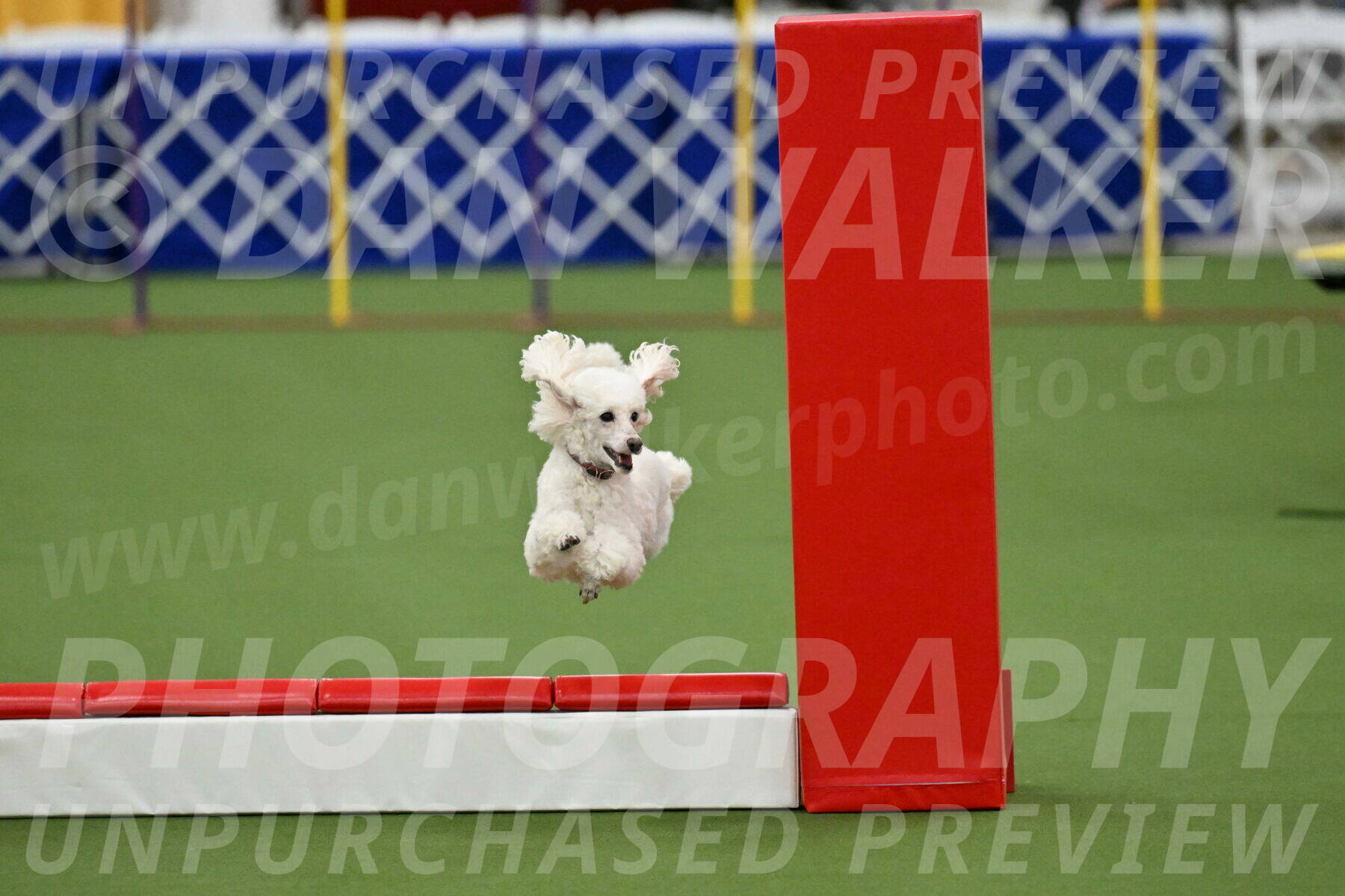 MAS-EX-STD-4-8-Inch_4733