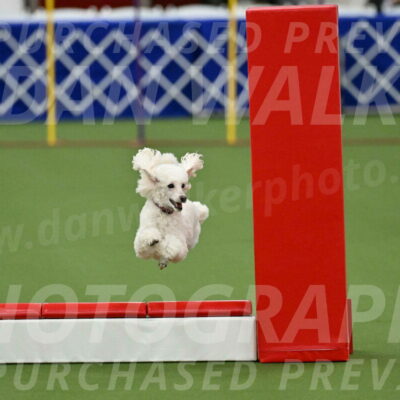 MAS-EX-STD-4-8-Inch_4733