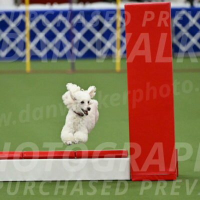 MAS-EX-STD-4-8-Inch_4734