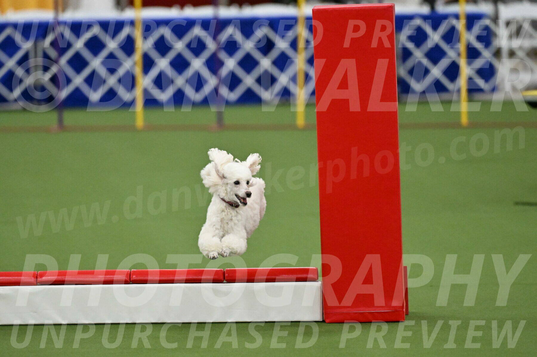 MAS-EX-STD-4-8-Inch_4734