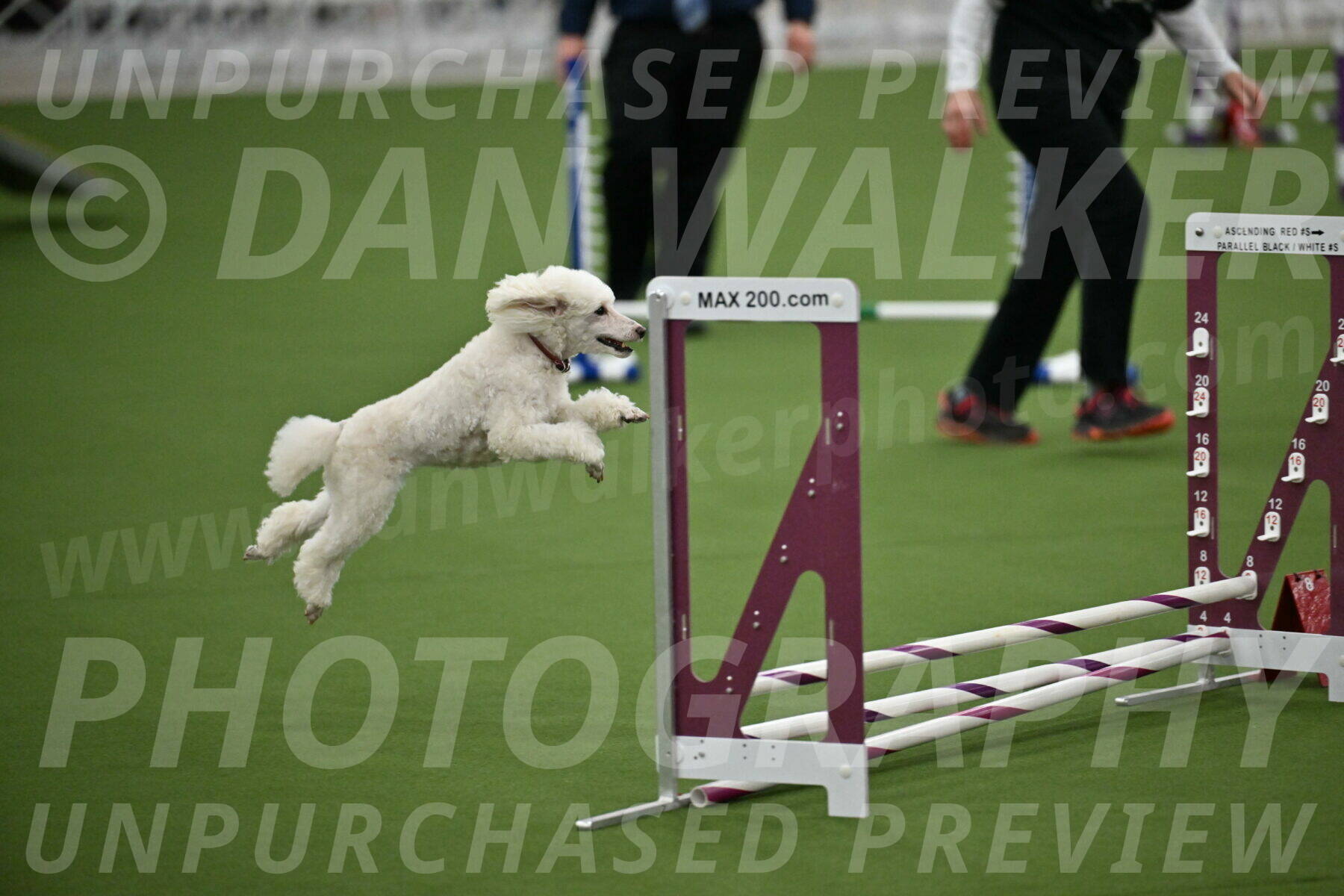 MAS-EX-STD-4-8-Inch_4736