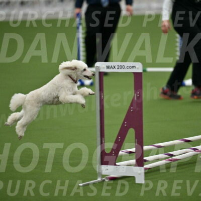 MAS-EX-STD-4-8-Inch_4736