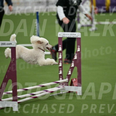 MAS-EX-STD-4-8-Inch_4739