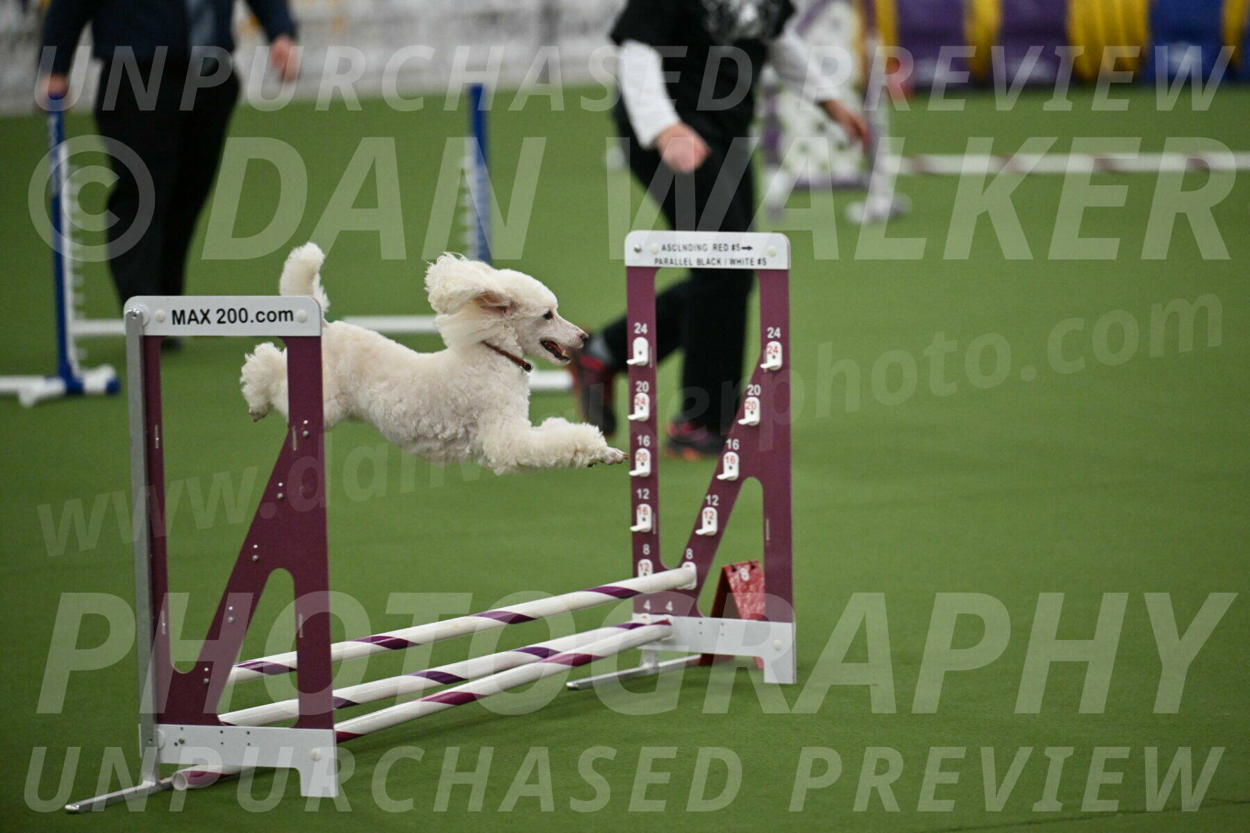 MAS-EX-STD-4-8-Inch_4739