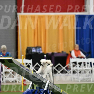 MAS-EX-STD-4-8-Inch_4747