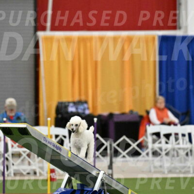 MAS-EX-STD-4-8-Inch_4749