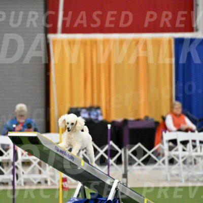 MAS-EX-STD-4-8-Inch_4751