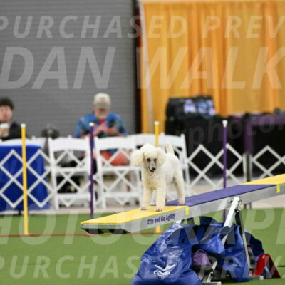 MAS-EX-STD-4-8-Inch_4758