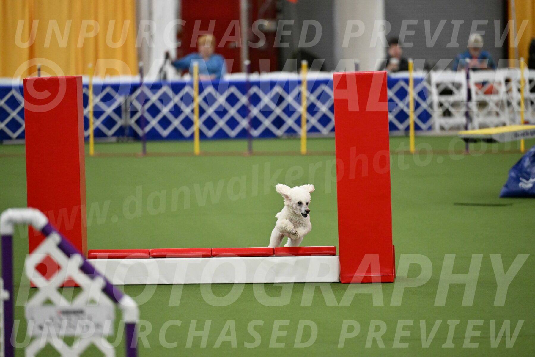 MAS-EX-STD-4-8-Inch_4763