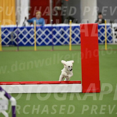 MAS-EX-STD-4-8-Inch_4763