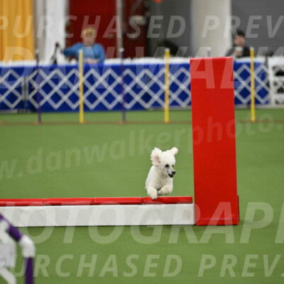 MAS-EX-STD-4-8-Inch_4764