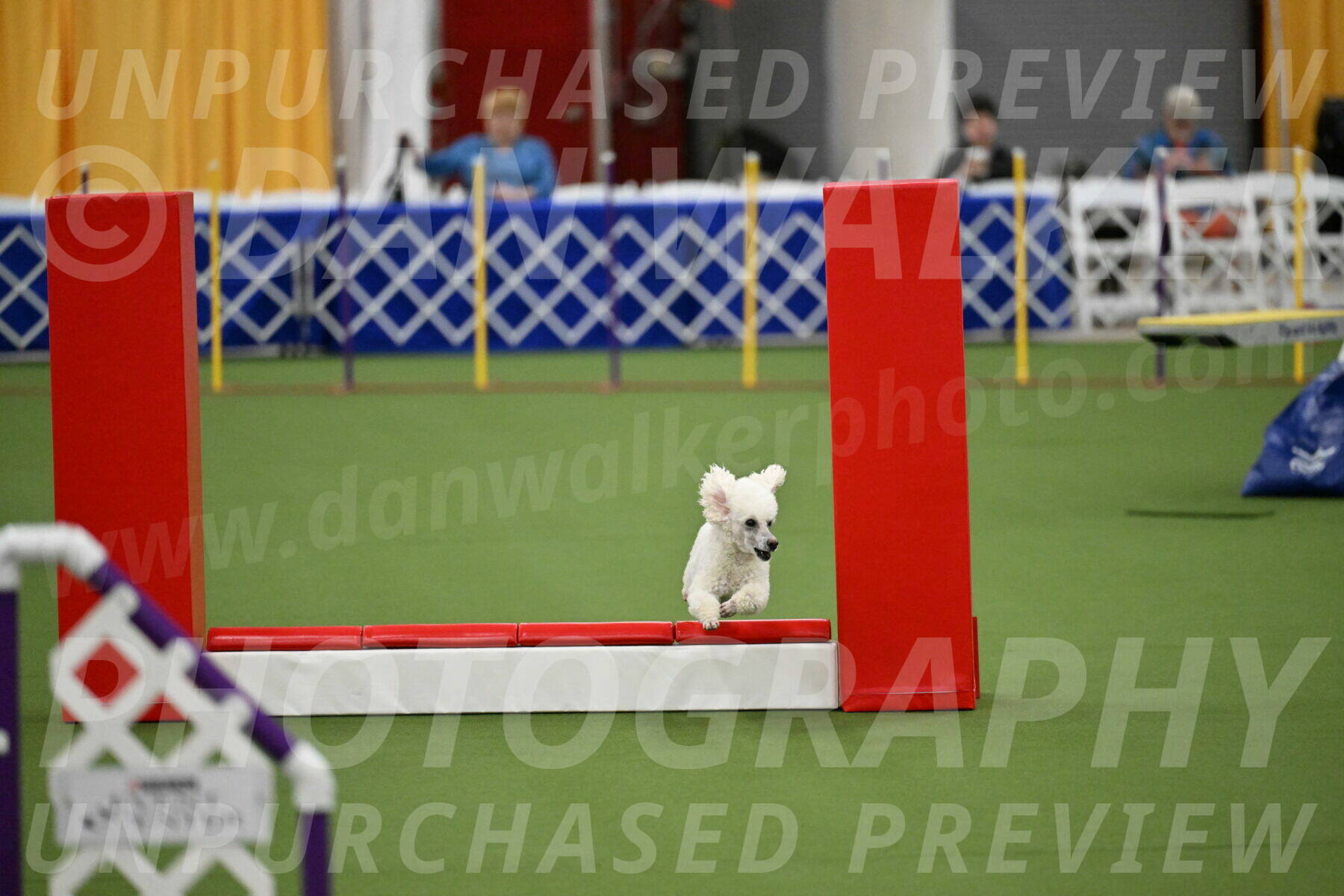 MAS-EX-STD-4-8-Inch_4764