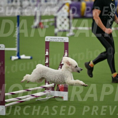 MAS-EX-STD-4-8-Inch_4769