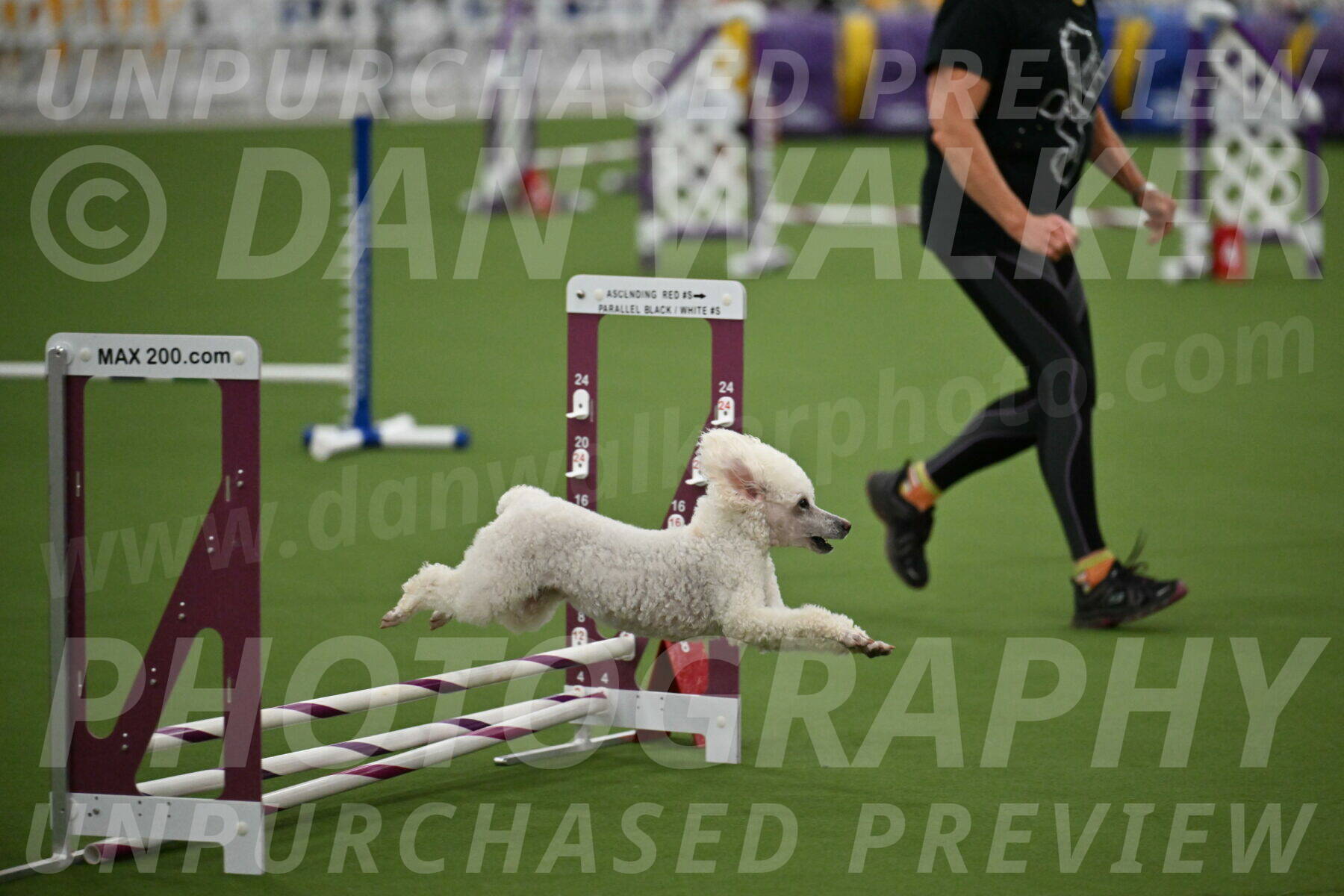 MAS-EX-STD-4-8-Inch_4769