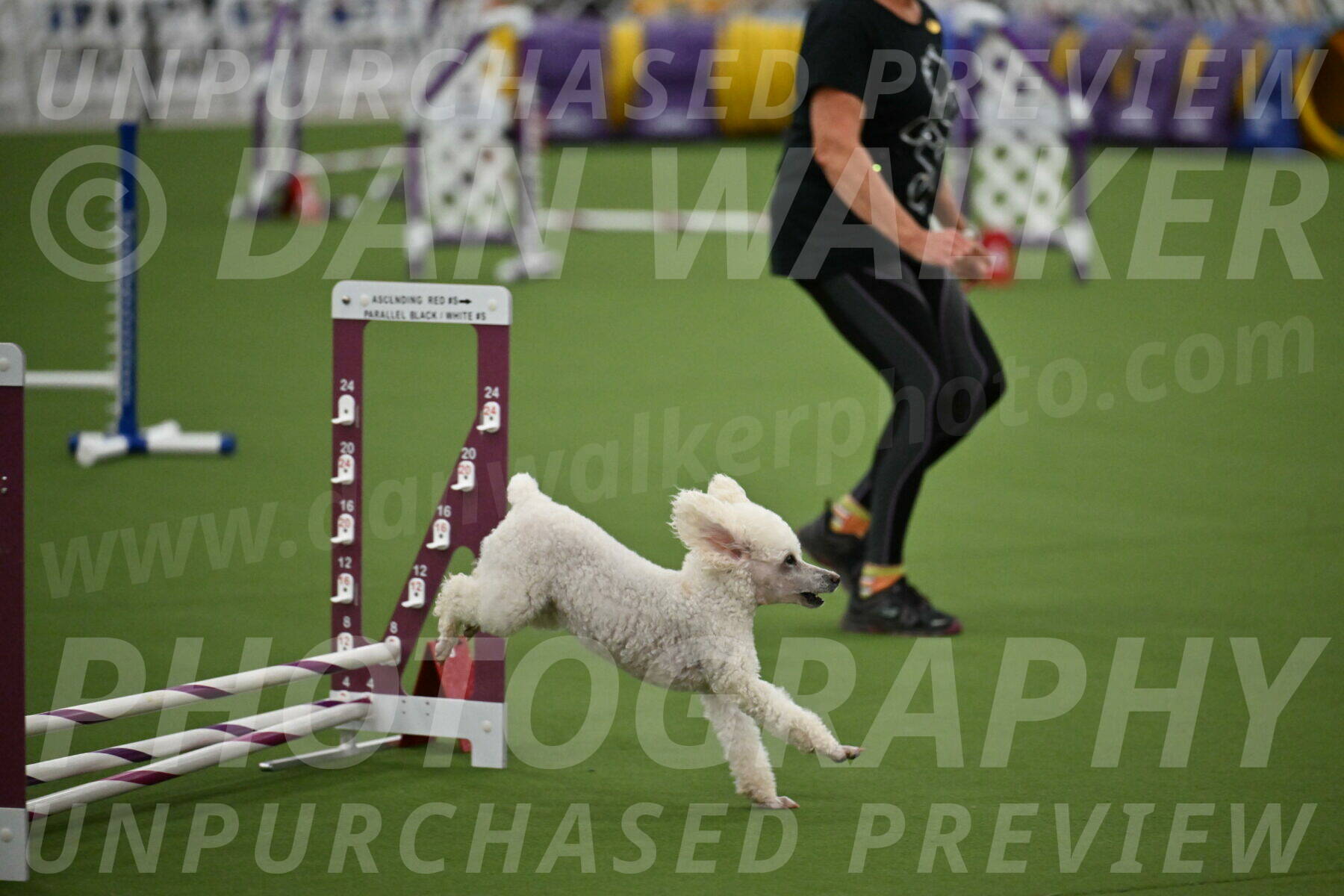 MAS-EX-STD-4-8-Inch_4770