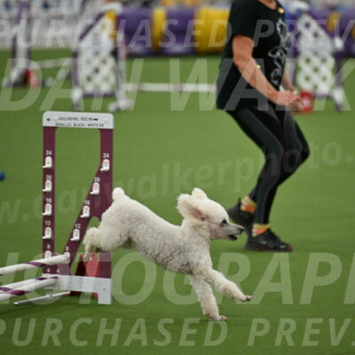 MAS-EX-STD-4-8-Inch_4770