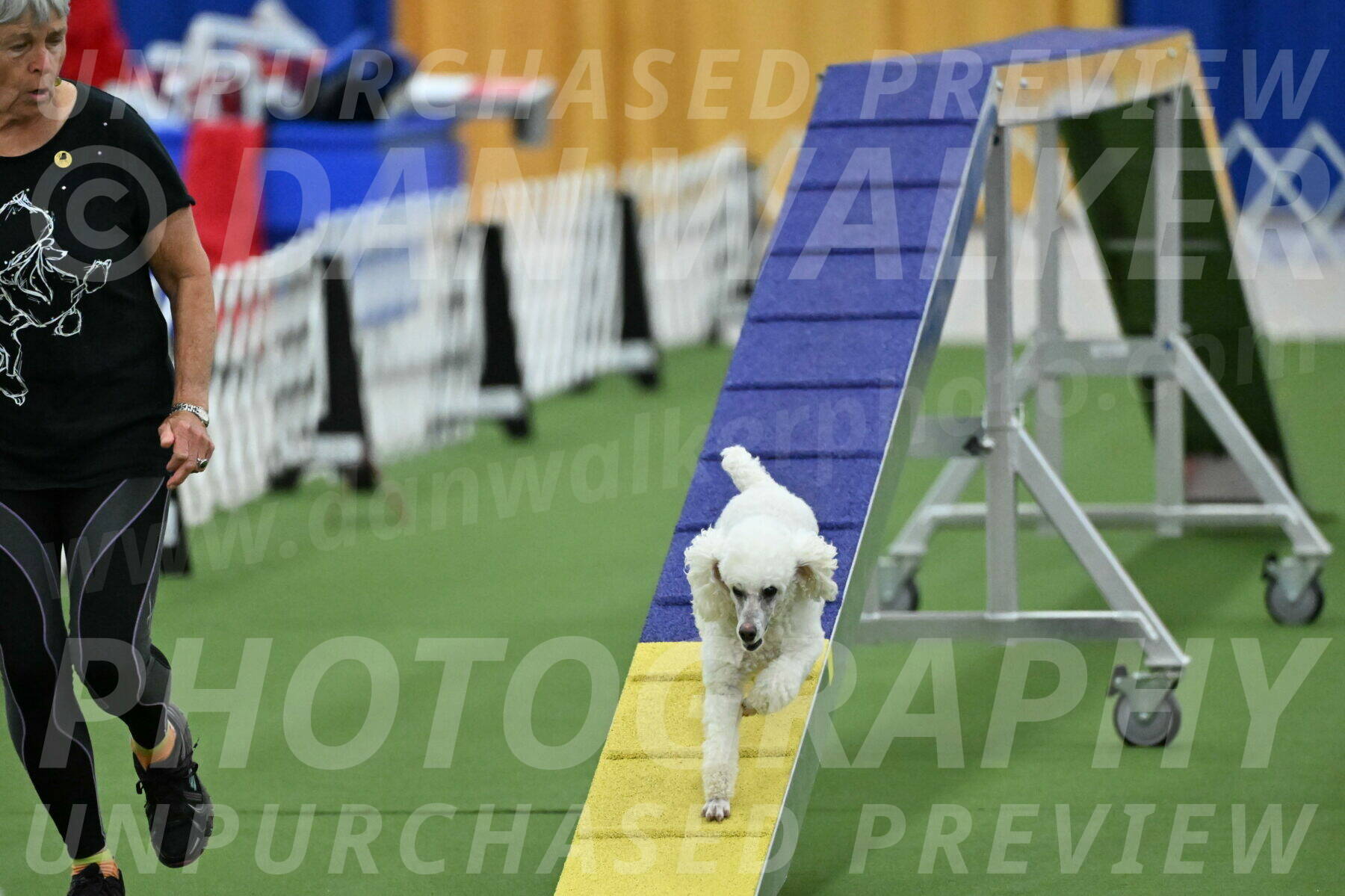 MAS-EX-STD-4-8-Inch_4778