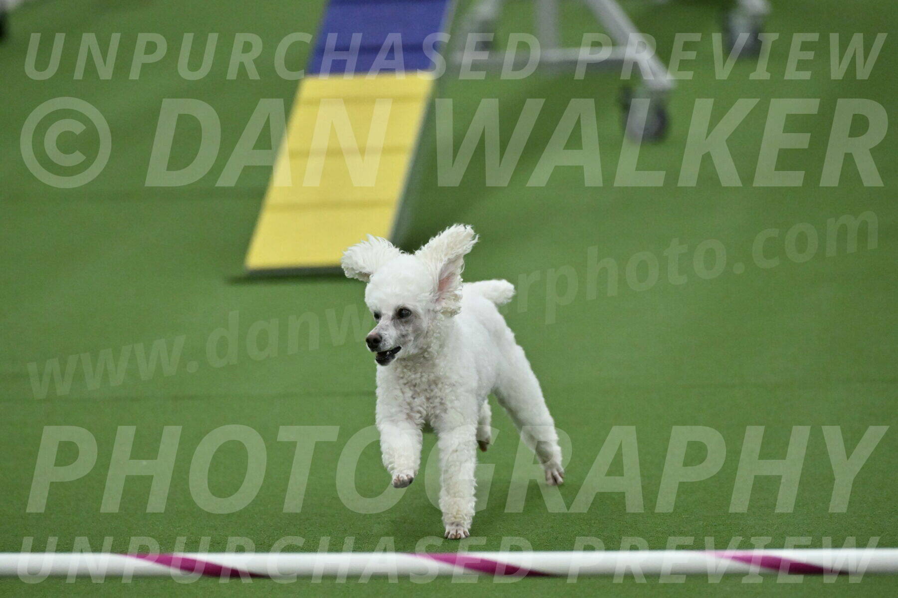 MAS-EX-STD-4-8-Inch_4786