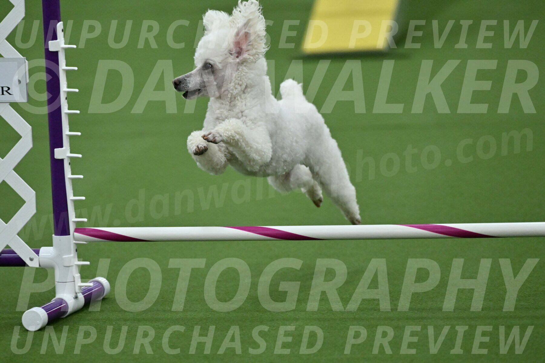 MAS-EX-STD-4-8-Inch_4790