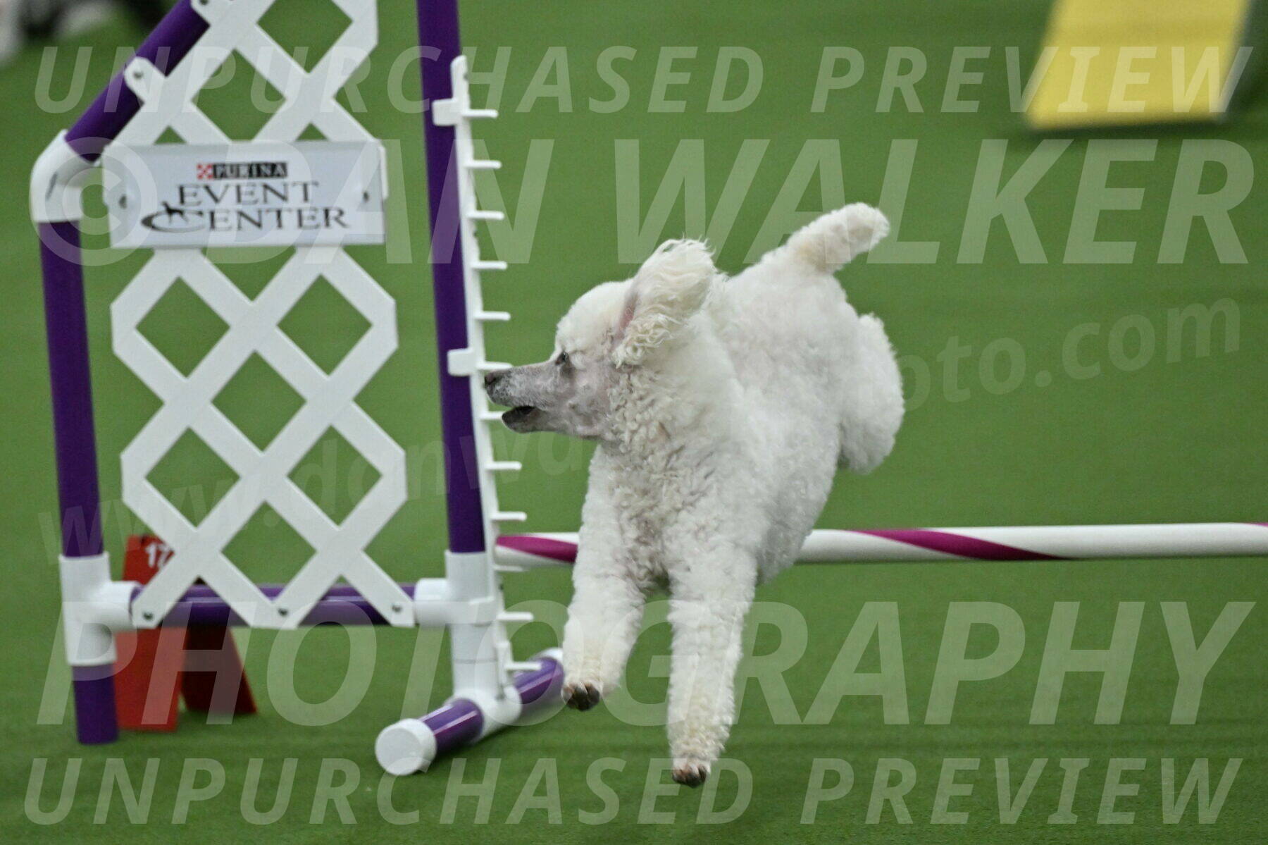 MAS-EX-STD-4-8-Inch_4791