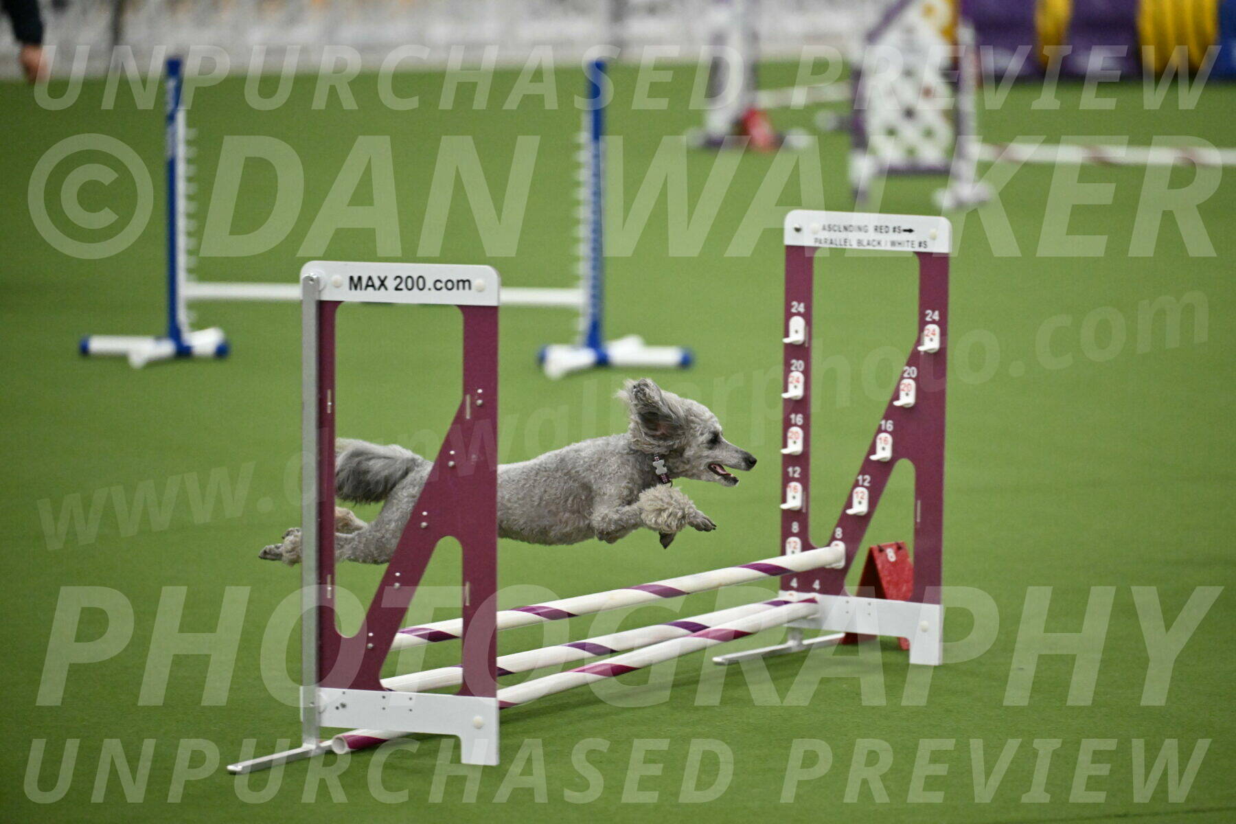 MAS-EX-STD-4-8-Inch_4810