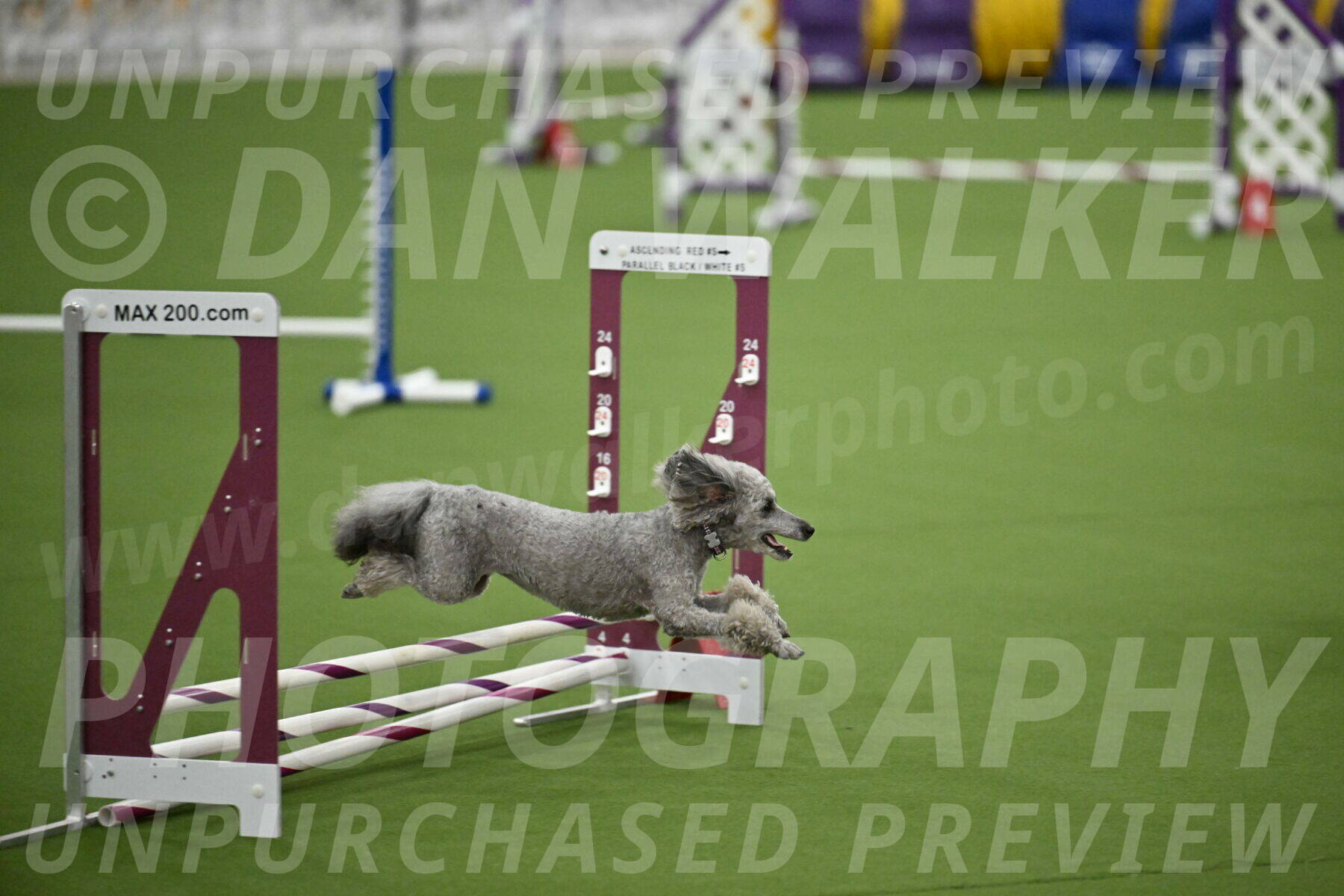 MAS-EX-STD-4-8-Inch_4811