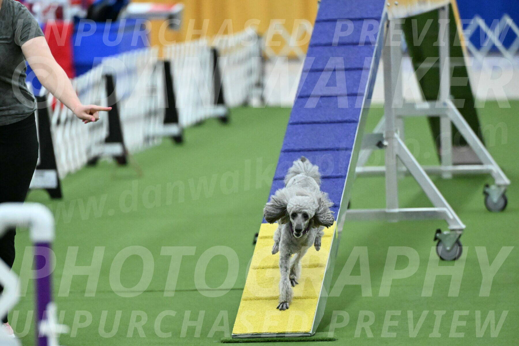 MAS-EX-STD-4-8-Inch_4824