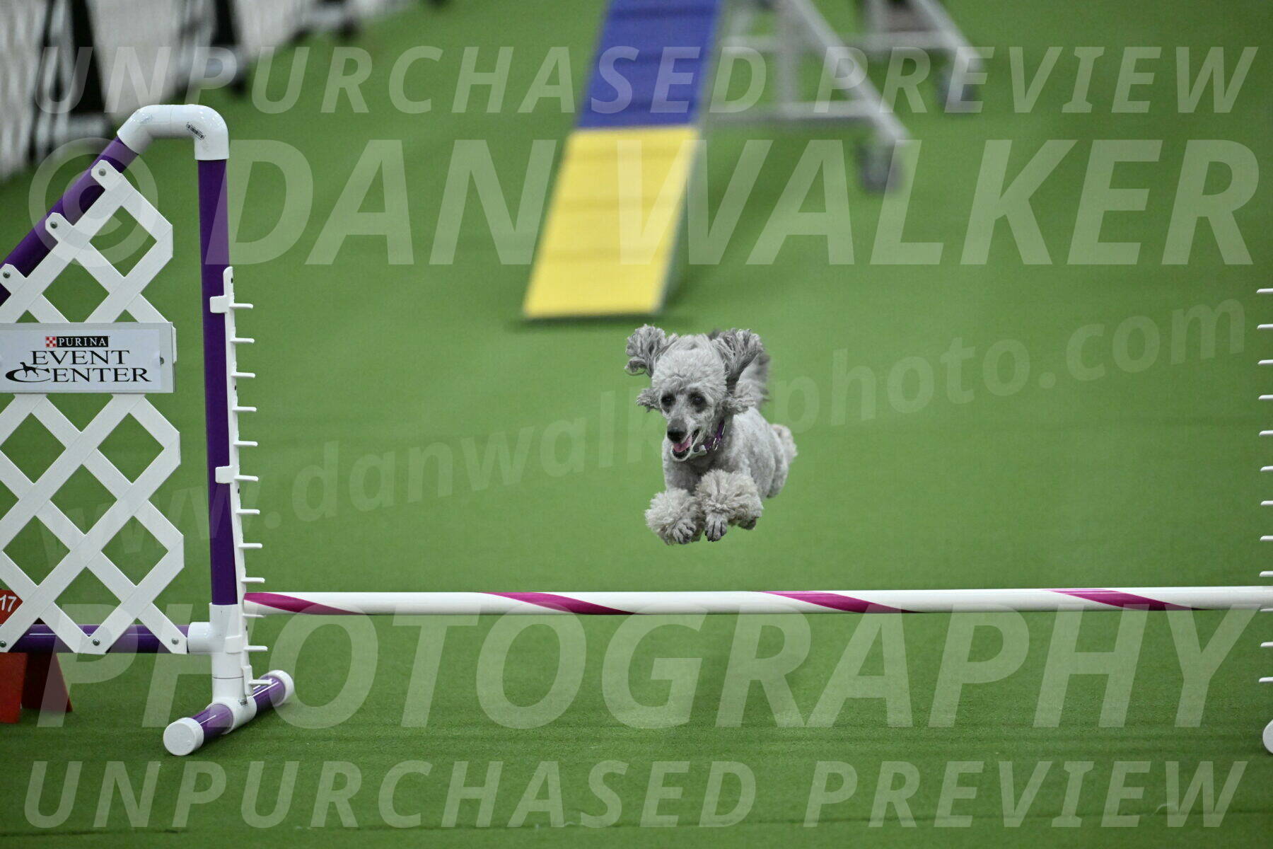 MAS-EX-STD-4-8-Inch_4828