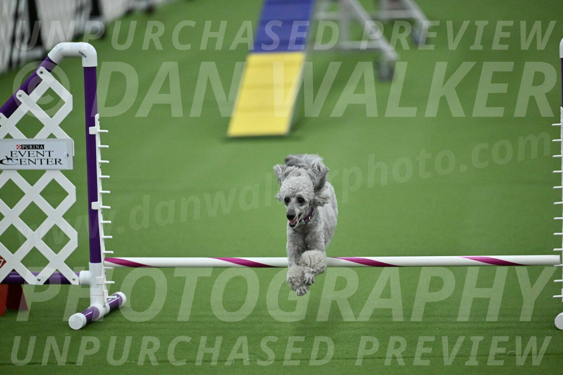 MAS-EX-STD-4-8-Inch_4829